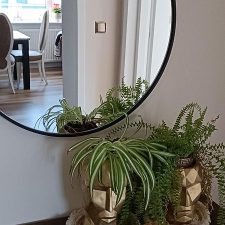Apartamenty Holender House Choczewo 외부 사진